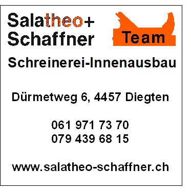Salatheo + Schaffner AG